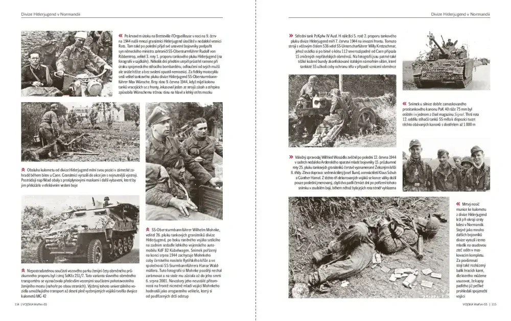 Waffen-SS 1933–1945 (č. 66)