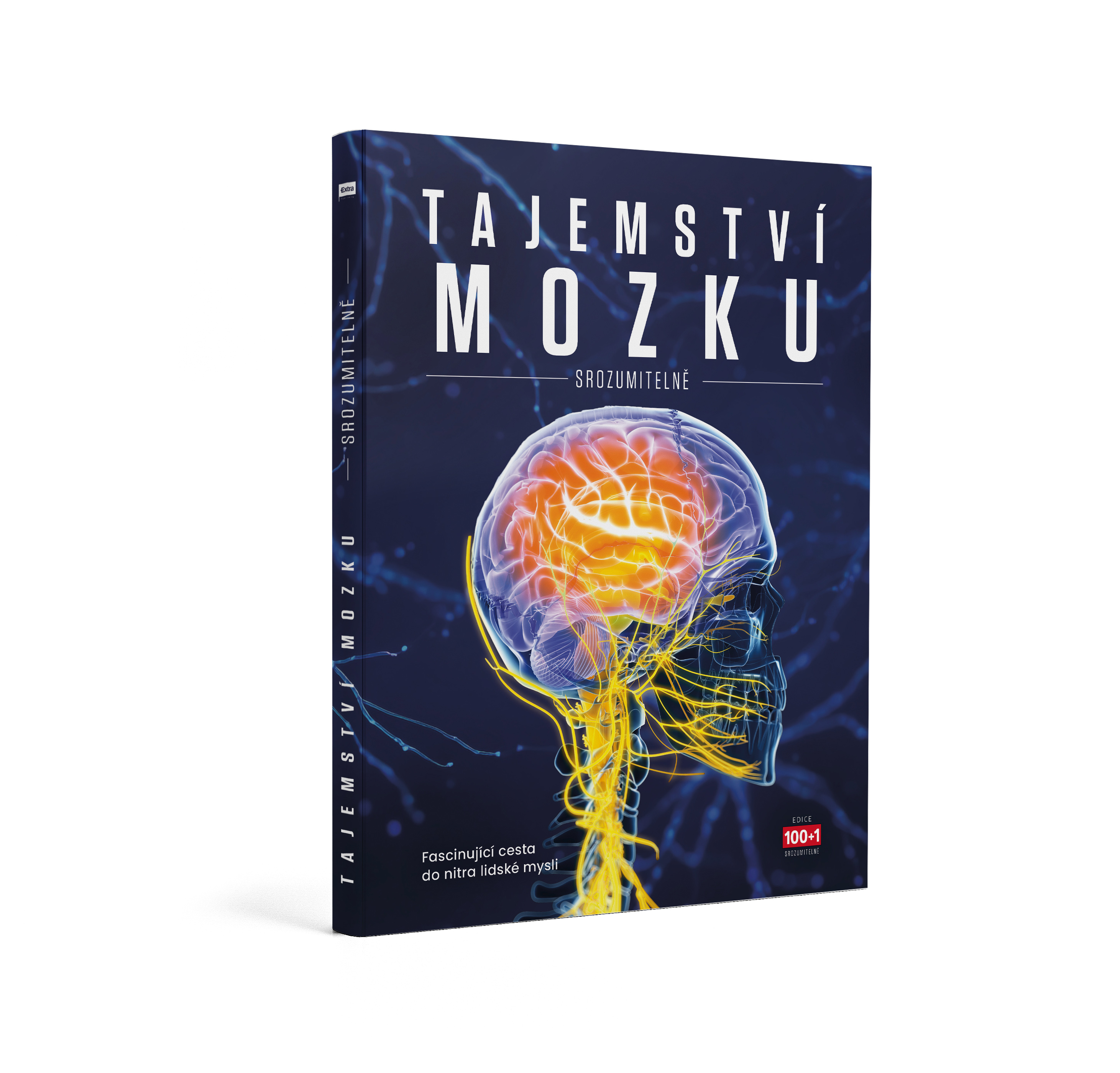 Tajemství mozku Srozumitelně