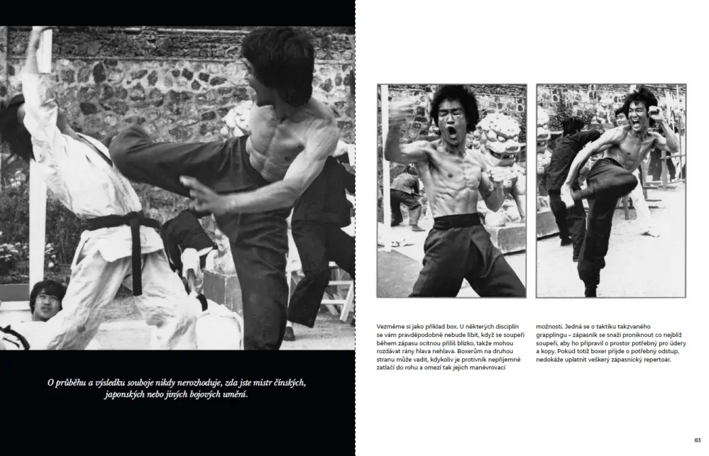 Bruce Lee