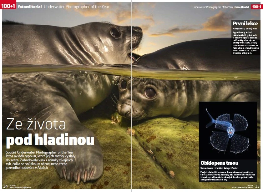 100+1 zahraniční zajímavost 6/2026 - Největší mýty o zdraví