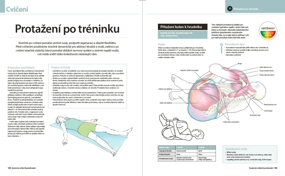 Anatomie cvičení & protahování