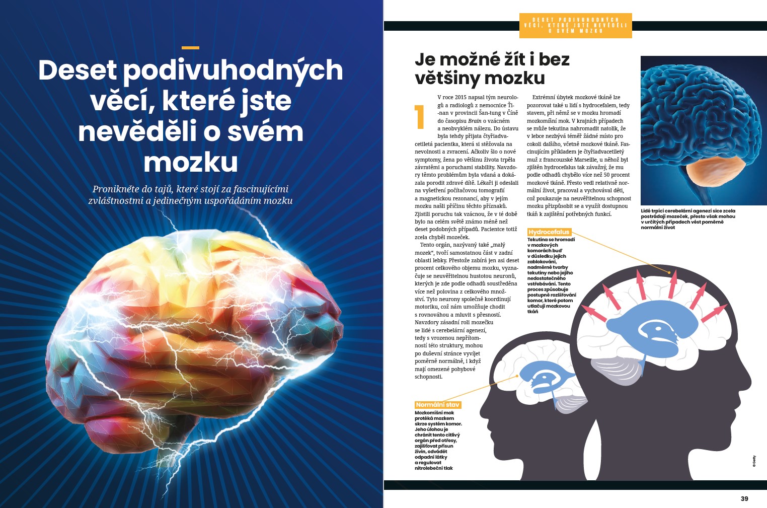 Tajemství mozku Srozumitelně