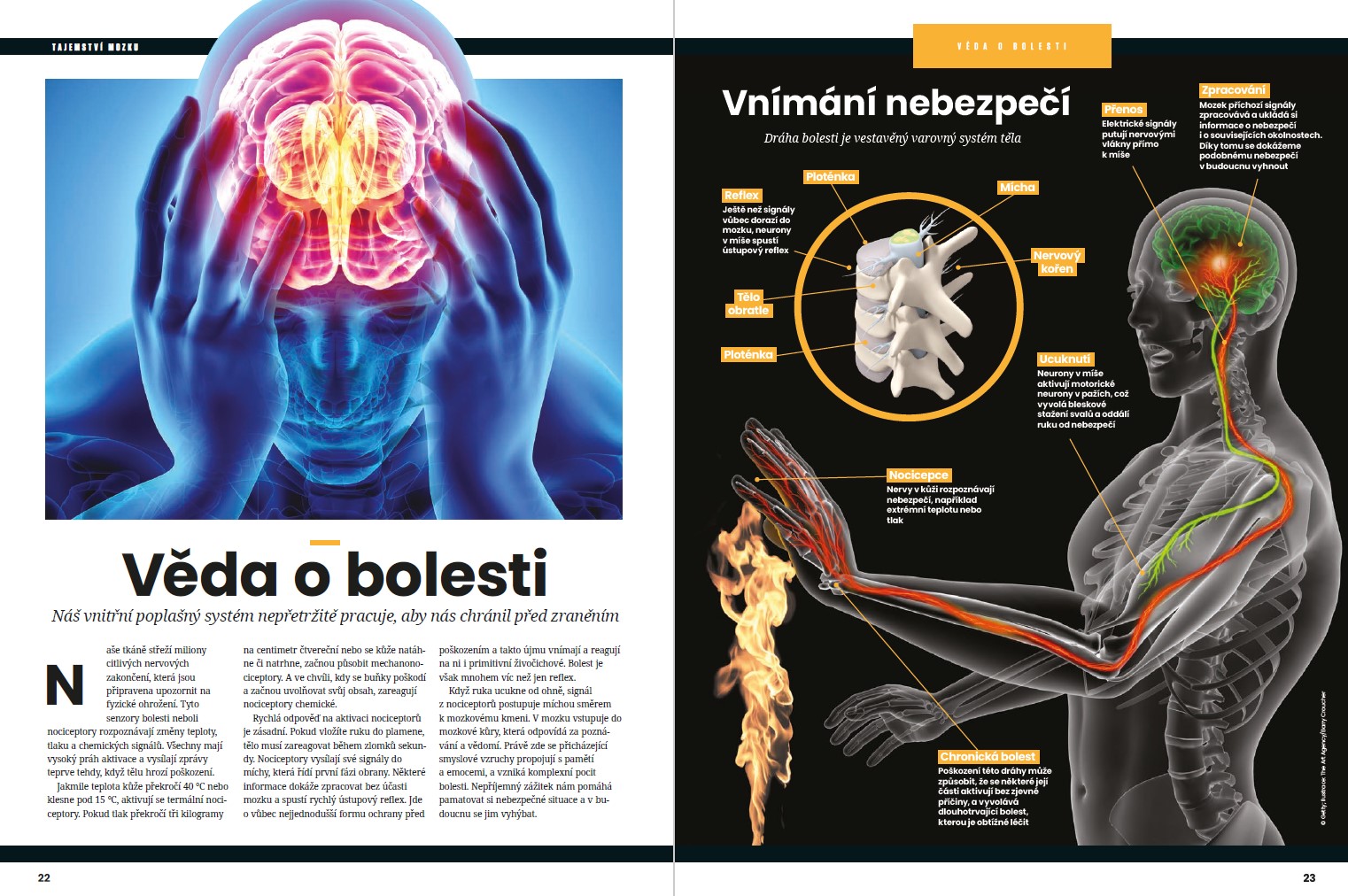 Tajemství mozku Srozumitelně