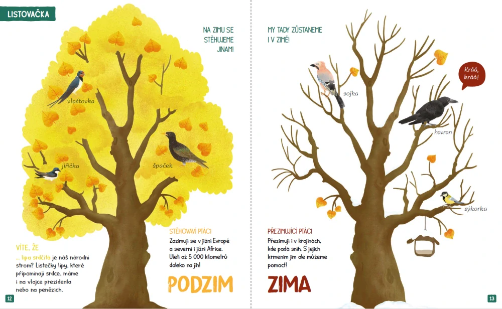 Veverka Rozinka 1+2+3