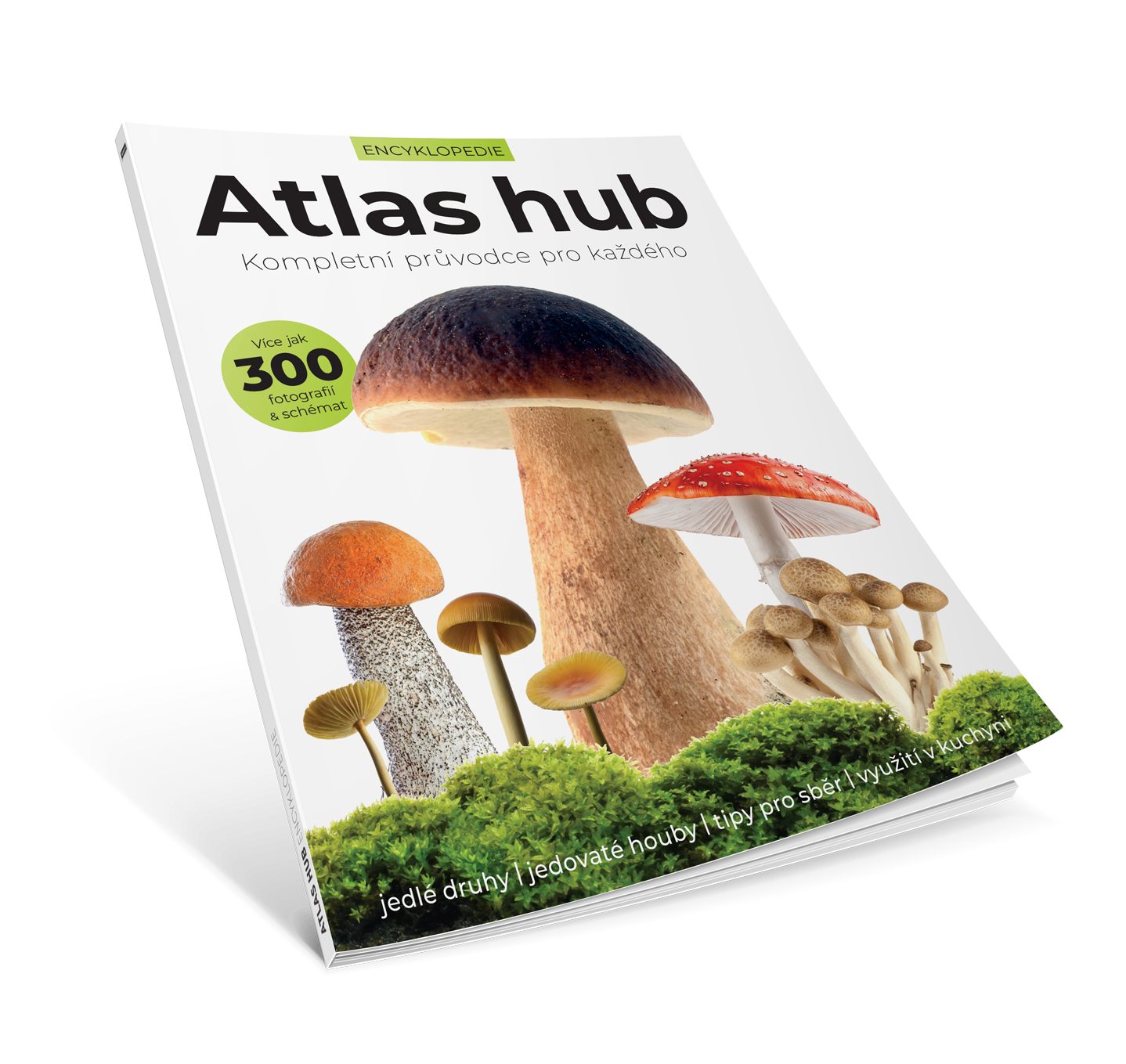 Atlas hub