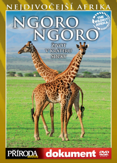 DVD Ngorongoro: život v kráteru sopky