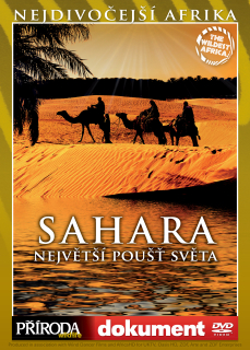 DVD Sahara: největší poušť světa