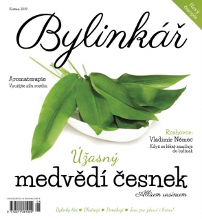 Bylinkář květen 2019 - Úžasný medvědí česnek
